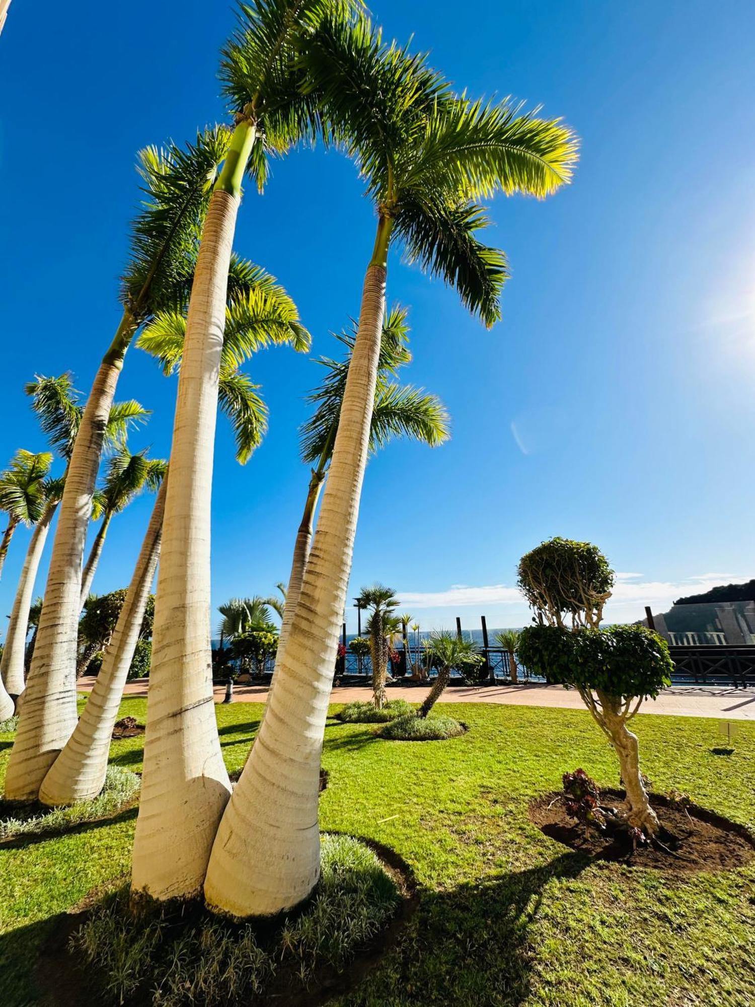 El Nautico Coral Suites San Miguel de Abona Bagian luar foto