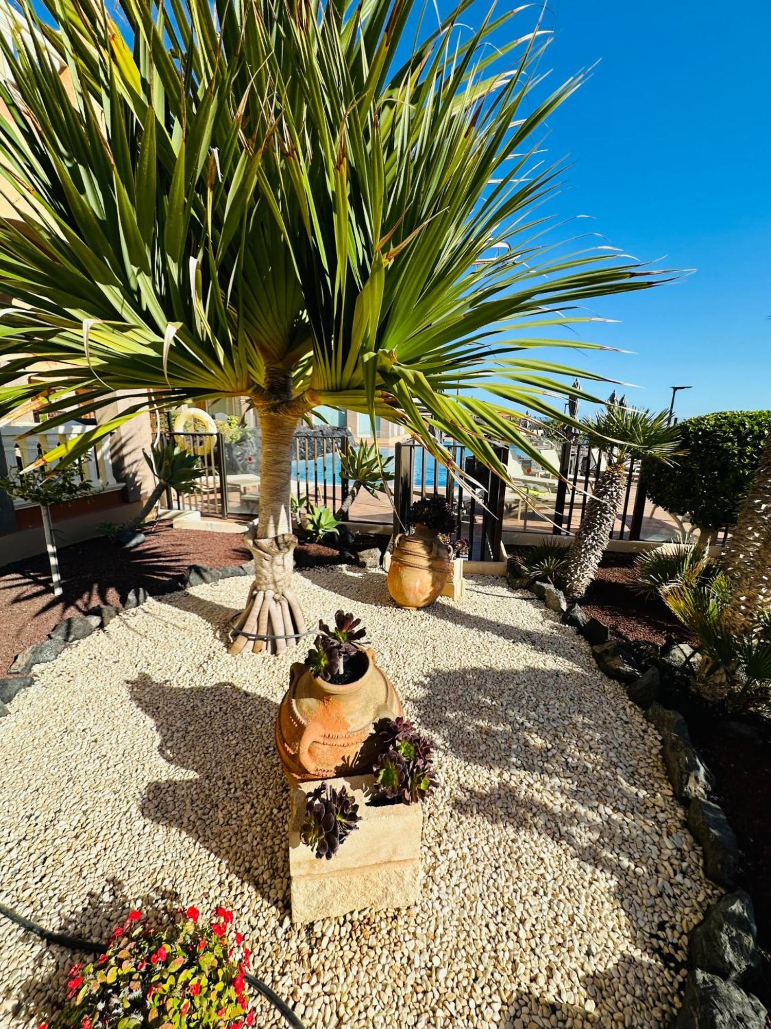 El Nautico Coral Suites San Miguel de Abona Bagian luar foto